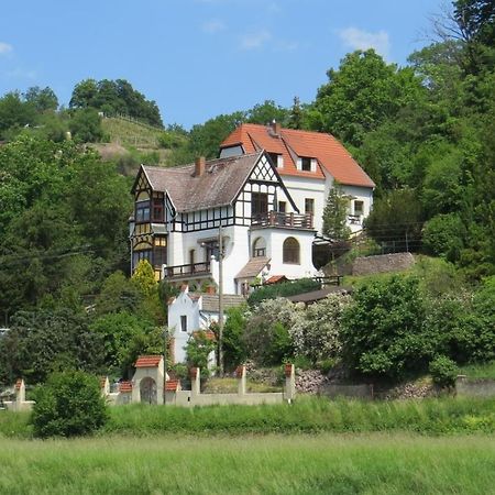 Ferienwohnung Elbsommer Am Weinberg Meissen Extérieur photo