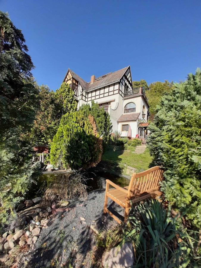 Ferienwohnung Elbsommer Am Weinberg Meissen Extérieur photo