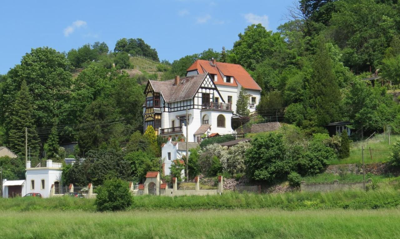 Ferienwohnung Elbsommer Am Weinberg Meissen Extérieur photo