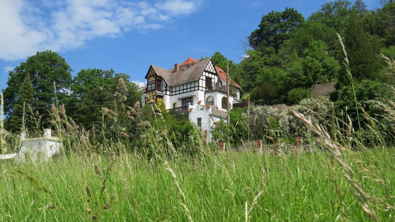 Ferienwohnung Elbsommer Am Weinberg Meissen Extérieur photo